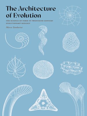 cover image of The Architecture of Evolution